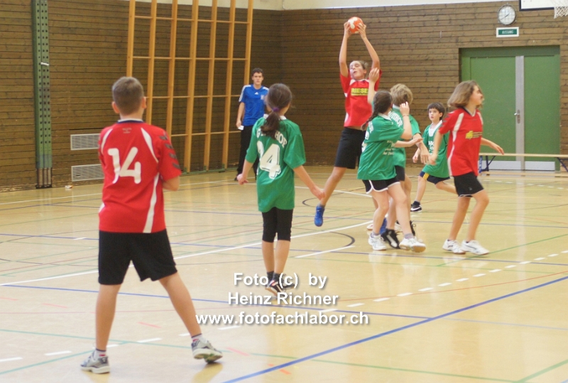 2174 handball_24.jpg